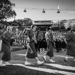 2015 撮影写真