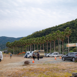 日帰り
